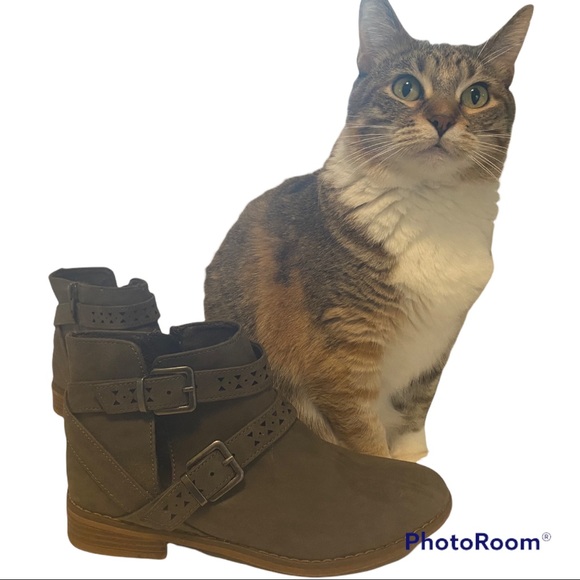 Rocket Dog Shoes - Rocket Dog Grey ankle boots SZ 8